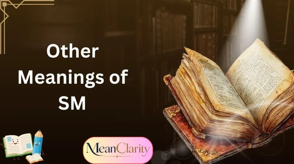 Other Meanings of SM