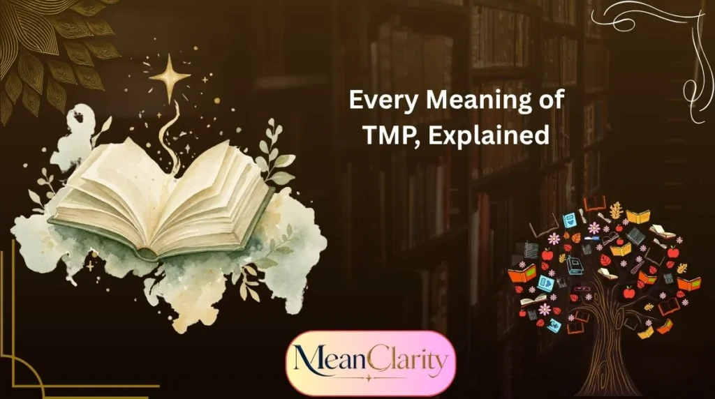 Every Meaning of TMP, Explained