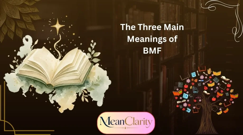 The Three Main Meanings of BMF