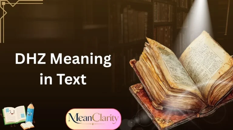 DHZ Meaning in Text