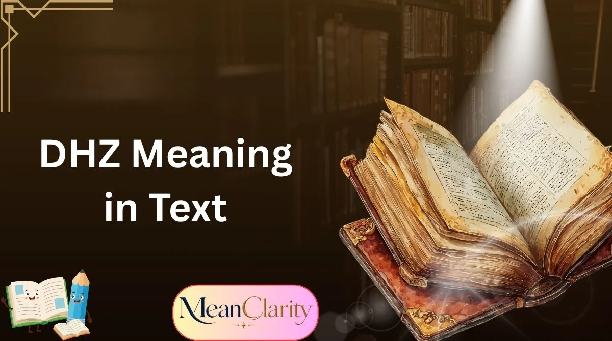 DHZ Meaning in Text