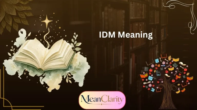 IDM Meaning