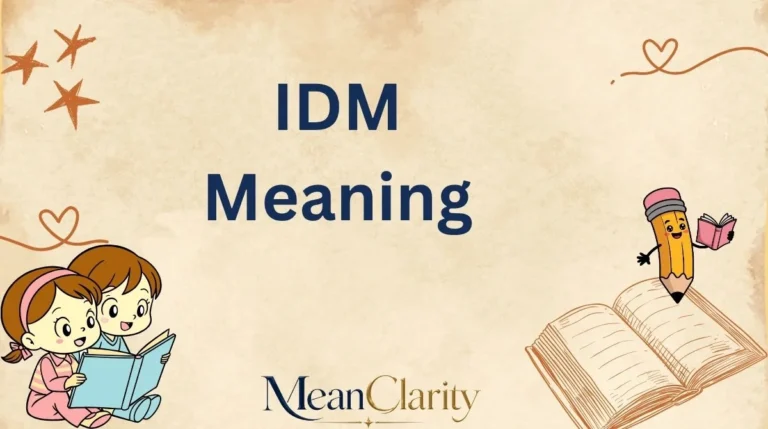 IDM Meaning