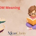 IDM Meaning