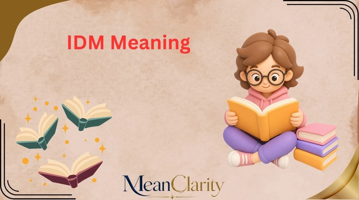 IDM Meaning