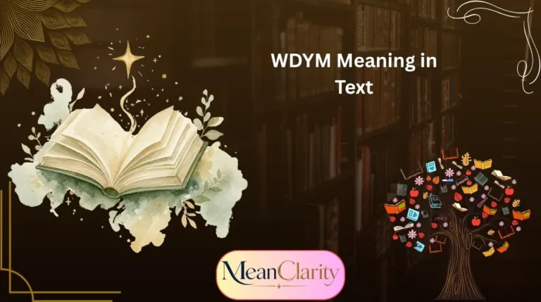 WDYM Meaning in Text