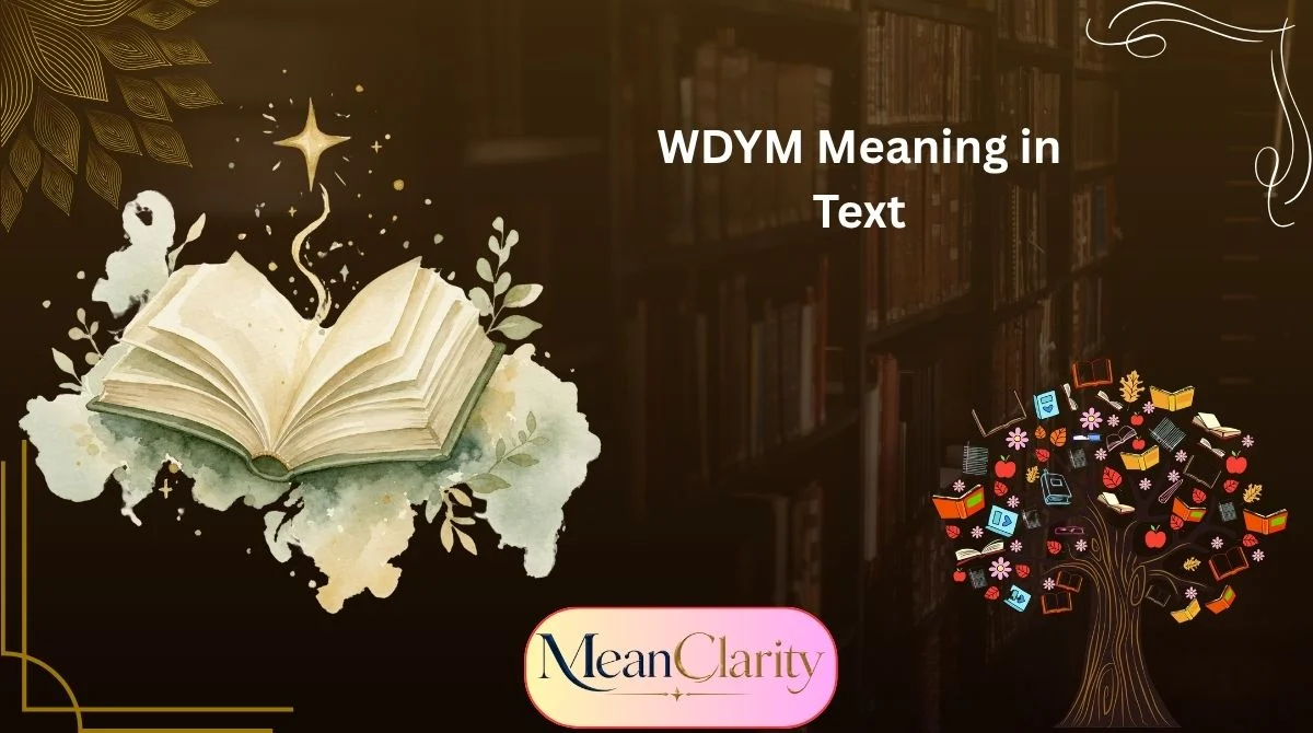 WDYM Meaning in Text