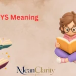 WYS Meaning