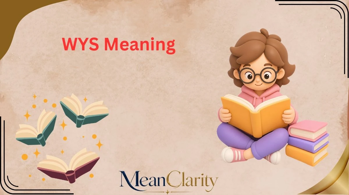 WYS Meaning